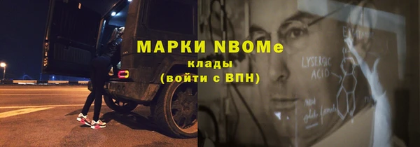 шишки Богородицк