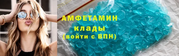 шишки Богородицк